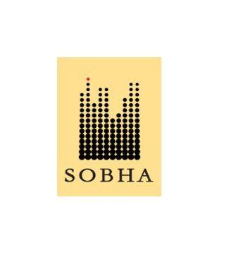 Developer image